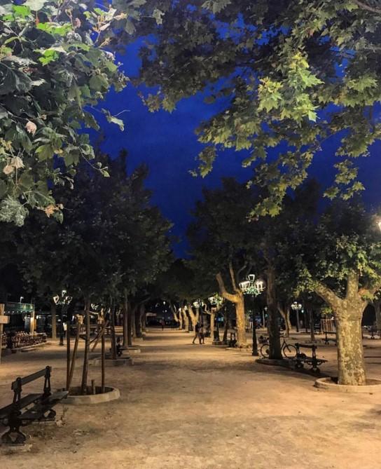 Promenade arborée éclairée à la nuit tombée